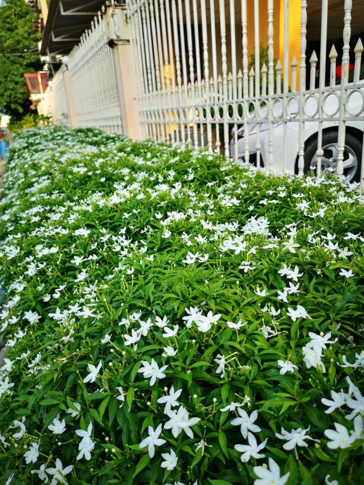 ชูโชค อพาร์ทเมนท์ รูปที่ 24