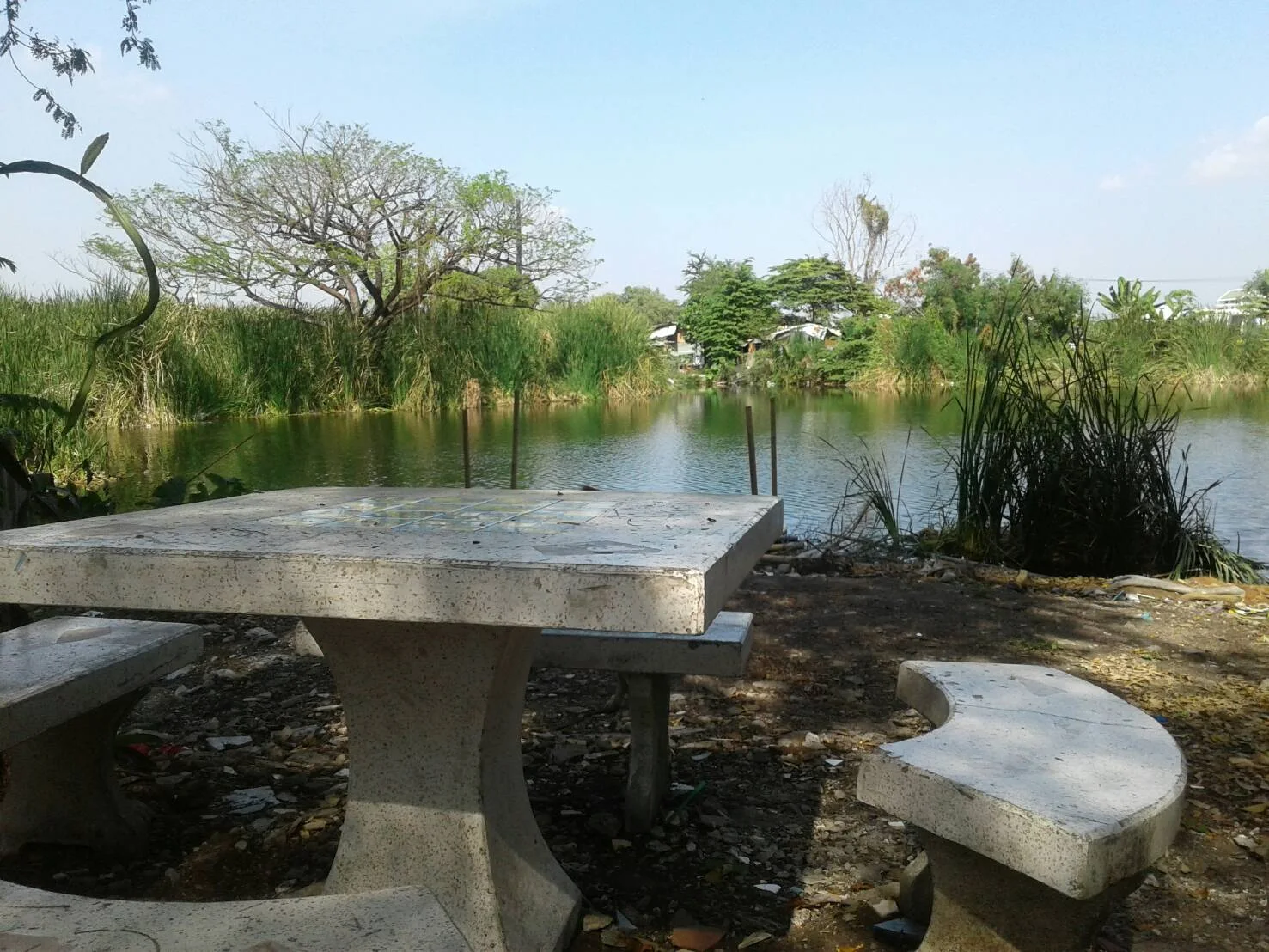 เดอะกรีน THE GREEN รูปที่ 9