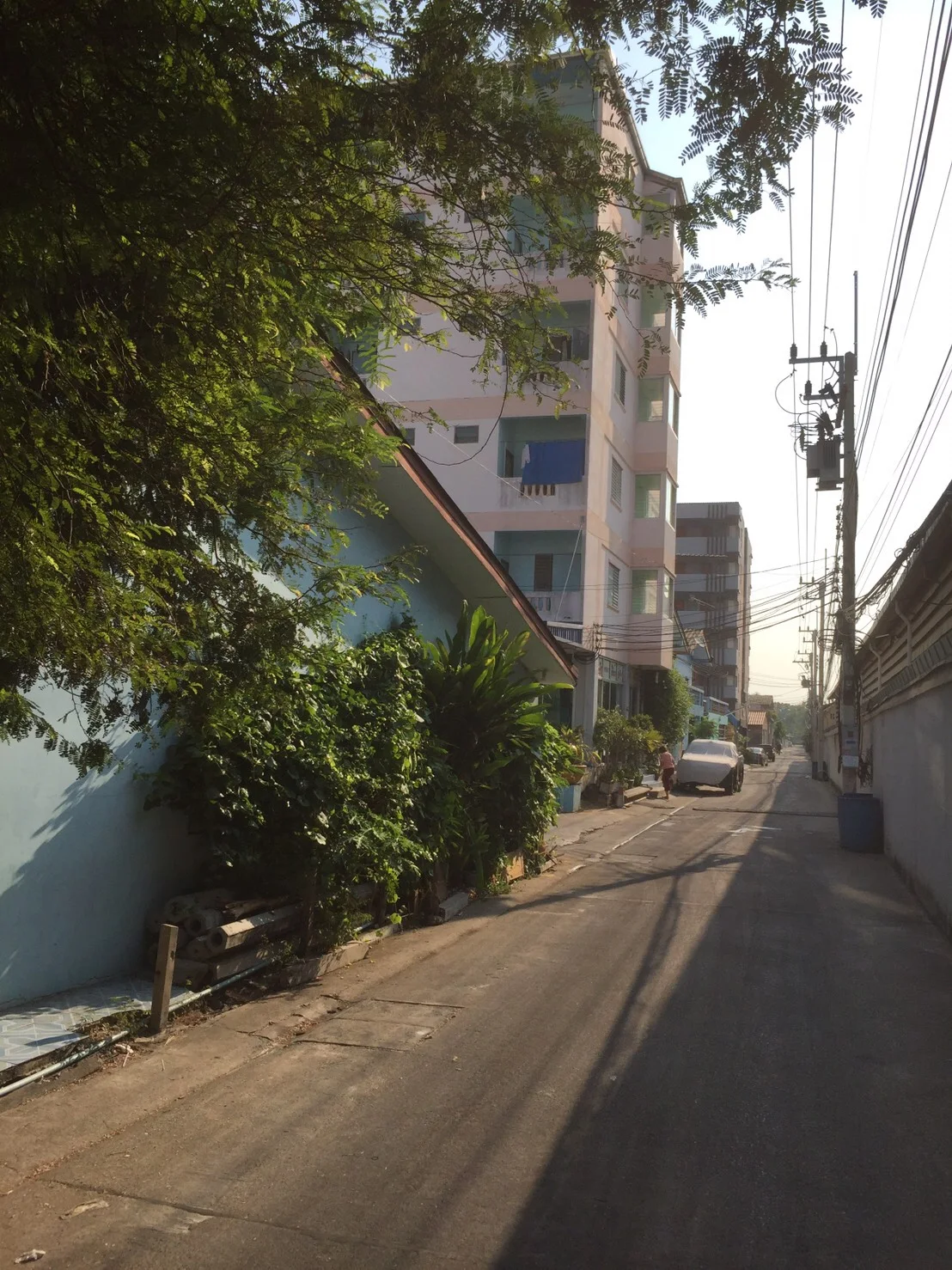 วันวิสา วรรธนะ รูปที่ 3