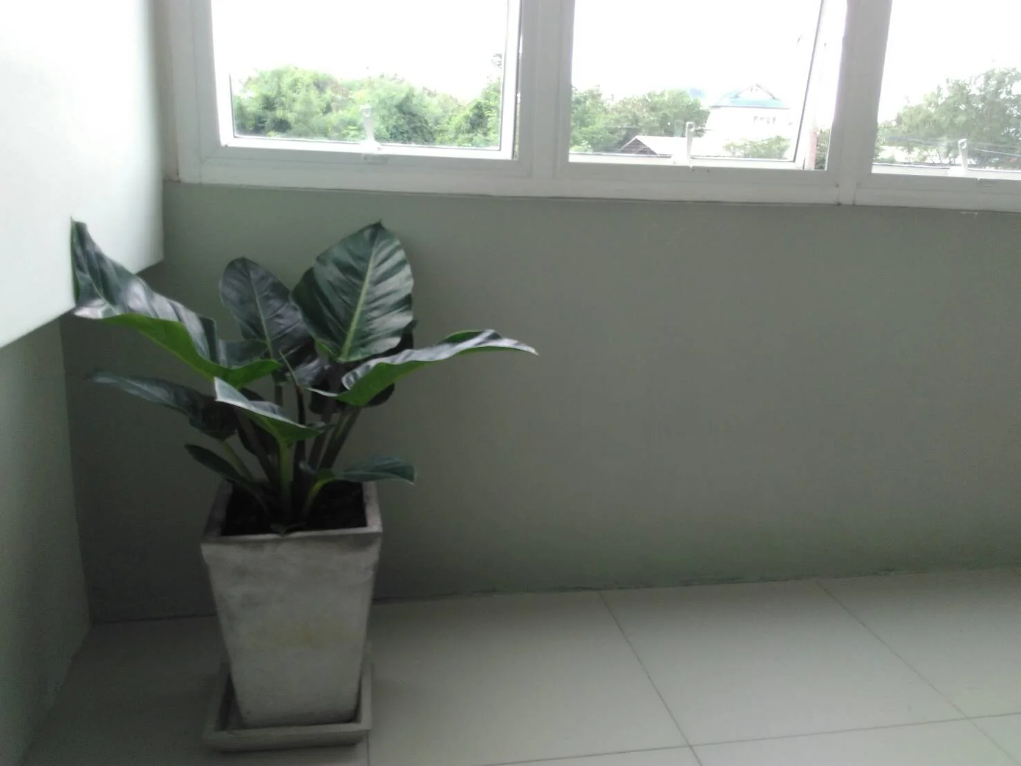 ทิศราพร เรสซิเดนท์ Hotel / Apartment รายวัน รายเดือน รูปที่ 15