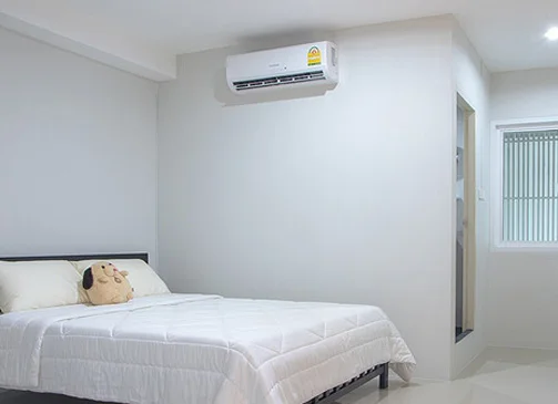 ไอเพลิน รังสิต คลอง 2 รูปที่ 15