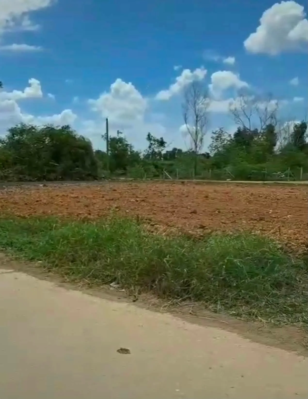 ขายที่ดิน คลองสอง คลองหลวง ซอยบงกช ปทุมธานี 100 ตร.ว. ถมแล้ว ติดถนน 2 ด้าน