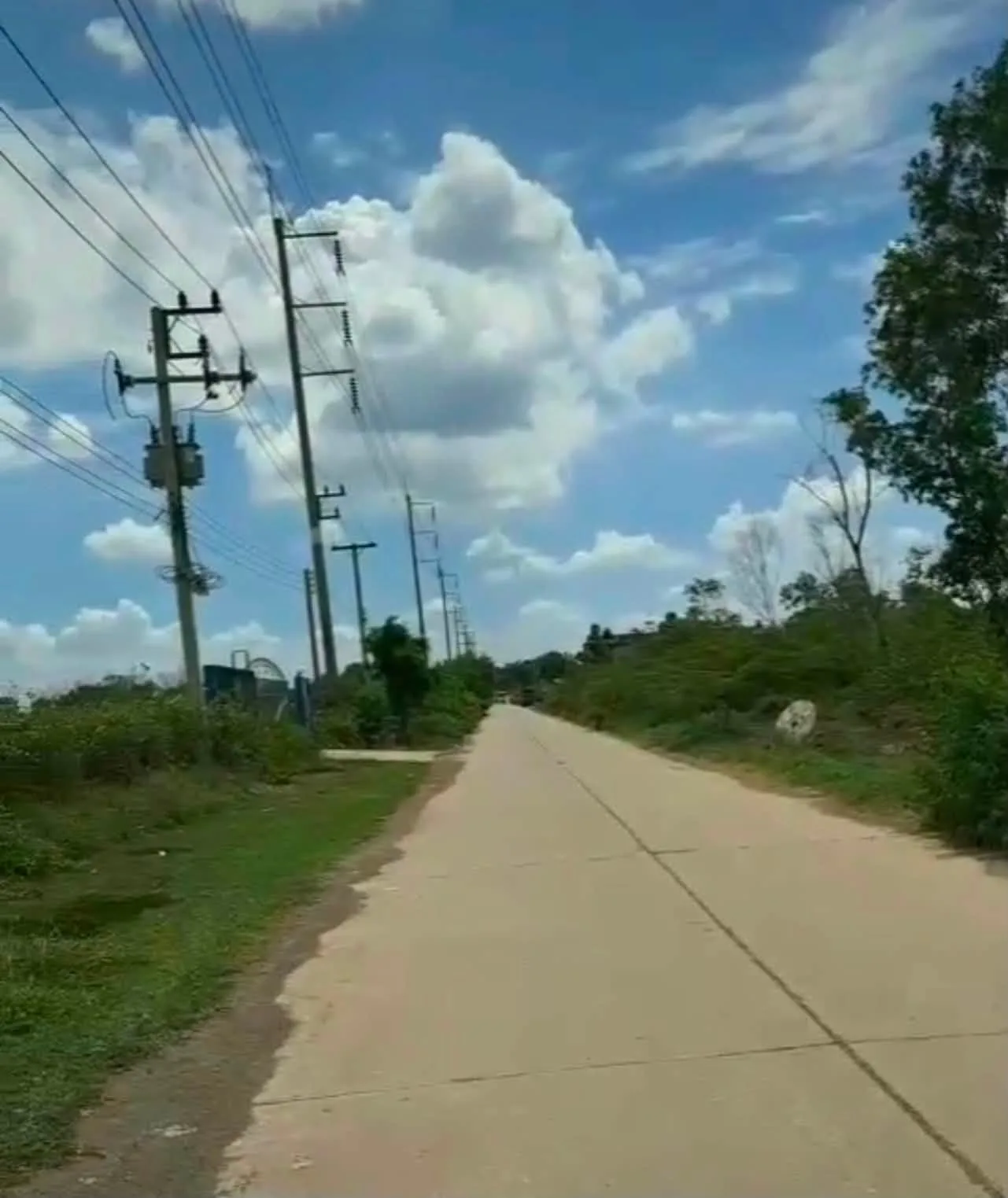 ขายที่ดิน คลองสอง คลองหลวง ซอยบงกช ปทุมธานี 100 ตร.ว. ถมแล้ว ติดถนน 2 ด้าน