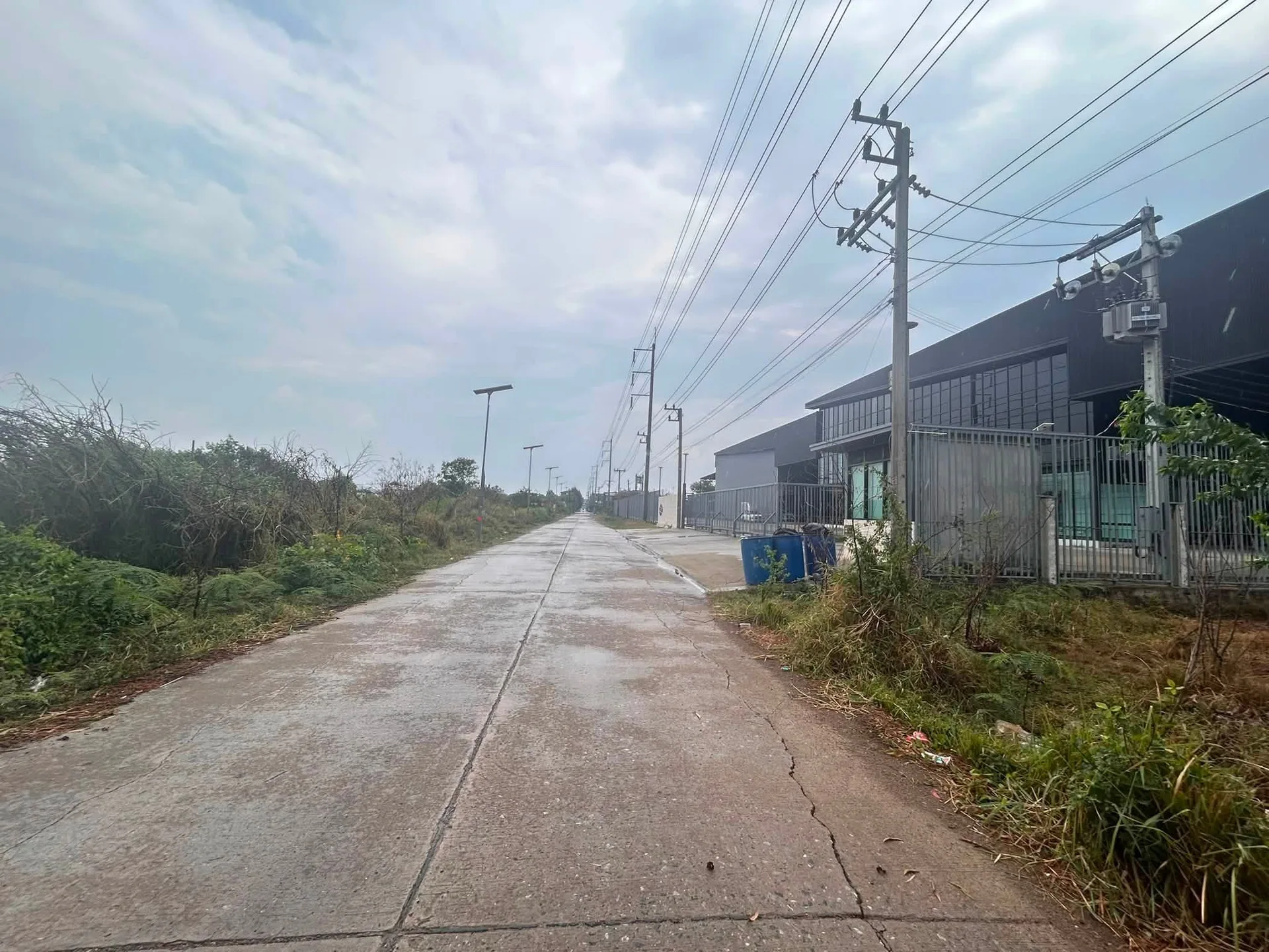 ขายที่ดิน คลองสอง คลองหลวง ซอยบงกช ปทุมธานี 100 ตร.ว. ถมแล้ว ติดถนน 2 ด้าน