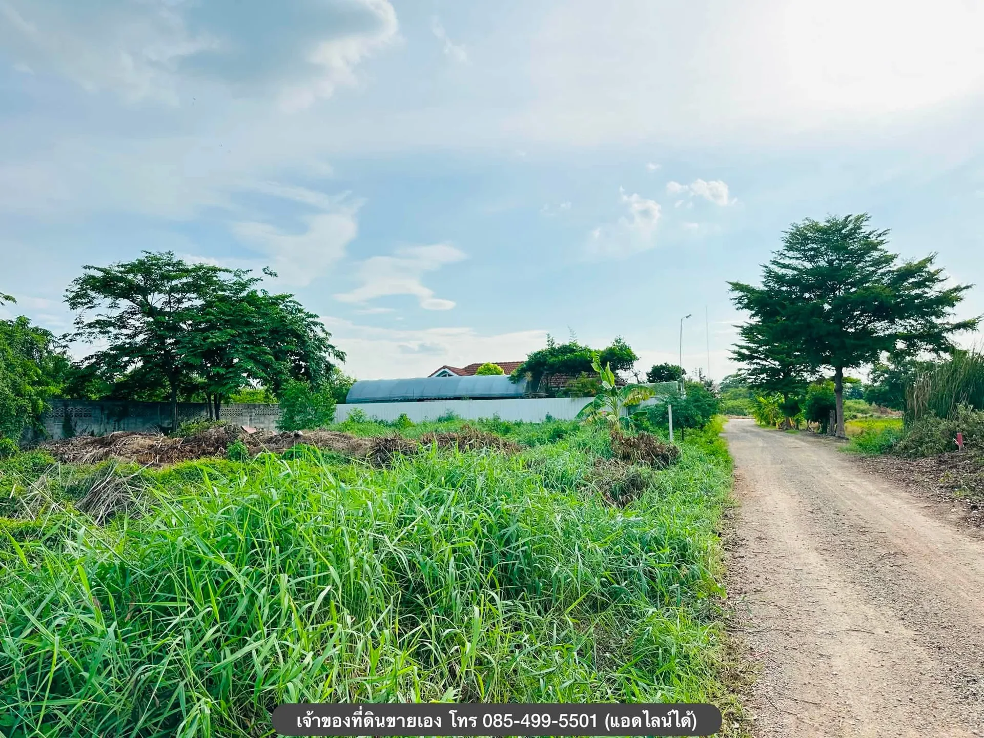 ขายที่ดิน คลอง 6 ปทุมธานี 100 ตร.ว. ใกล้มหาวิทยาลัยเทคโนโลยีราชมงคล