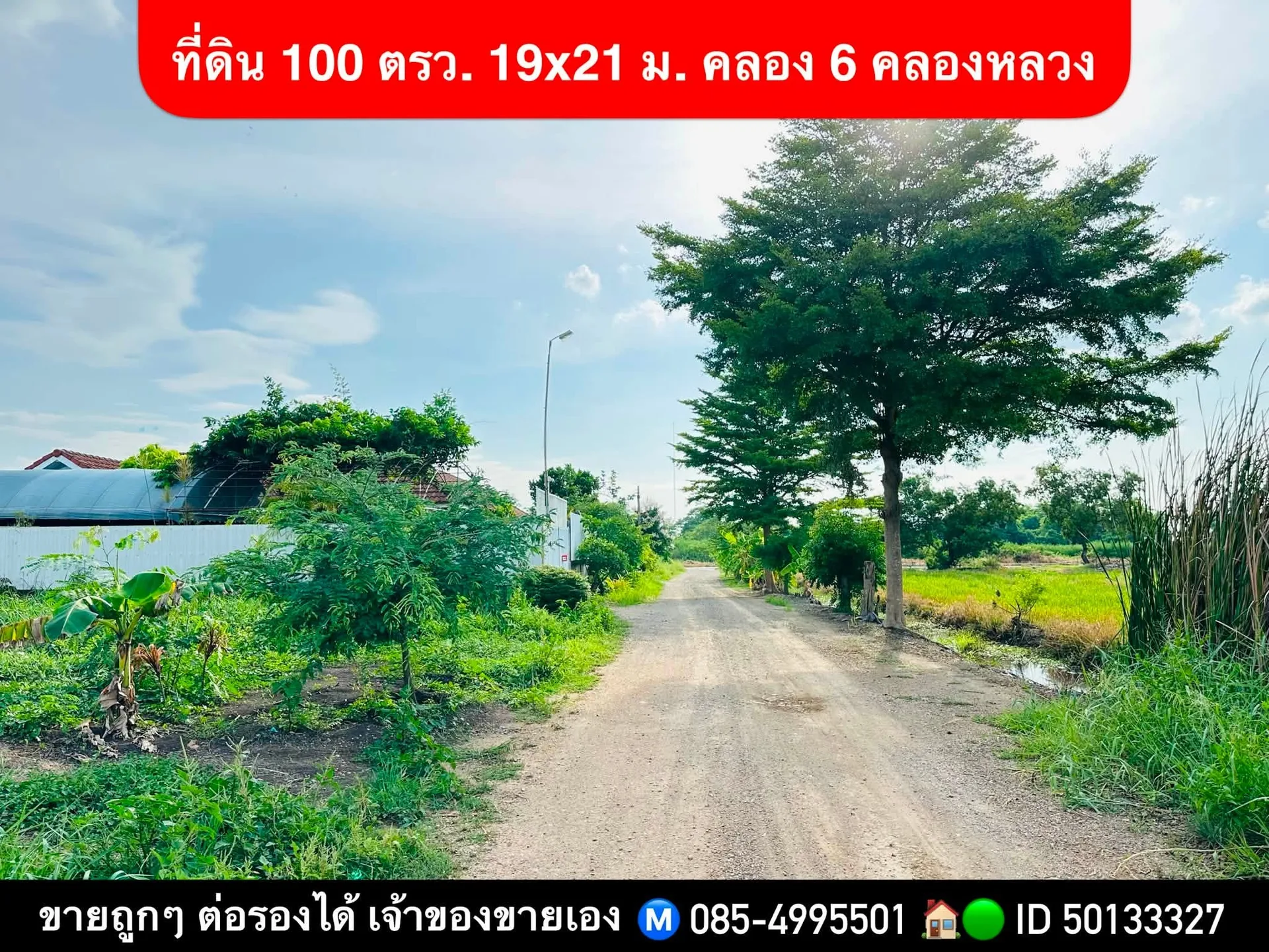 ขายที่ดิน คลอง 6 ปทุมธานี 100 ตร.ว. ใกล้มหาวิทยาลัยเทคโนโลยีราชมงคล