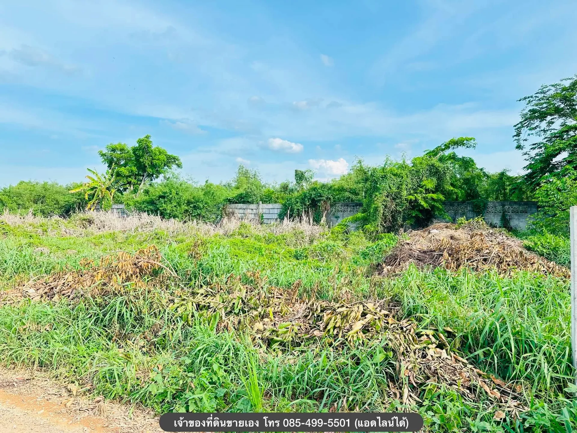 ขายที่ดิน คลอง 6 ปทุมธานี 100 ตร.ว. ใกล้มหาวิทยาลัยเทคโนโลยีราชมงคล