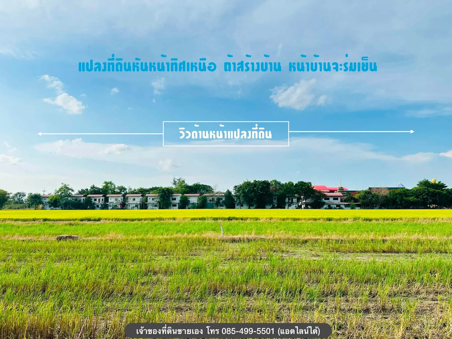 ขายที่ดิน คลอง 6 ปทุมธานี 100 ตร.ว. ใกล้มหาวิทยาลัยเทคโนโลยีราชมงคล