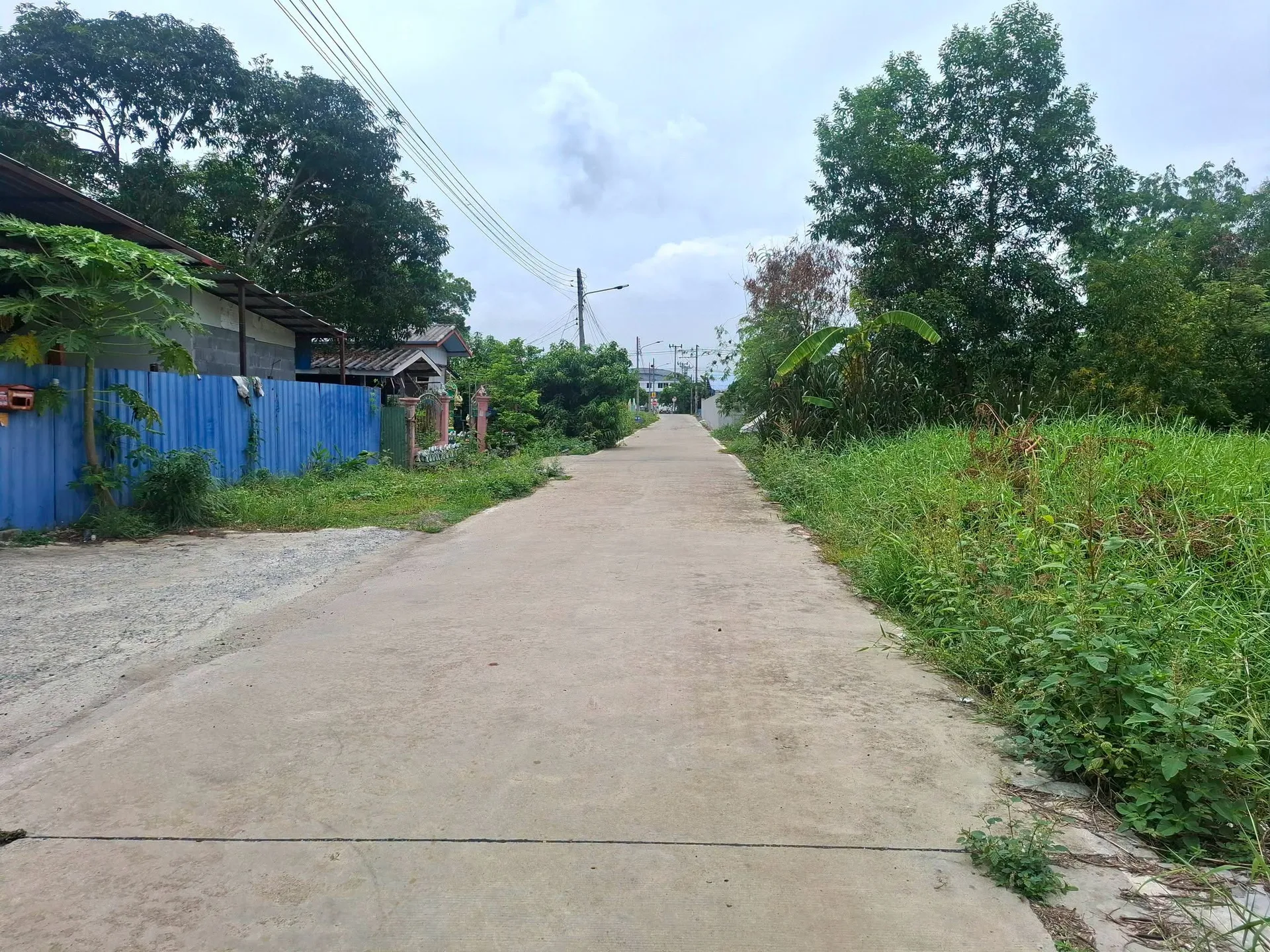 ขายที่ดิน 200 ตร.ว. ซอยคลองสาม 14/3 คลองหลวง ถมแล้ว หน้ากว้าง 31.5 เมตร